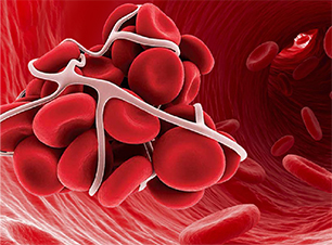 Contenido Sequridad Contenido Seguridad